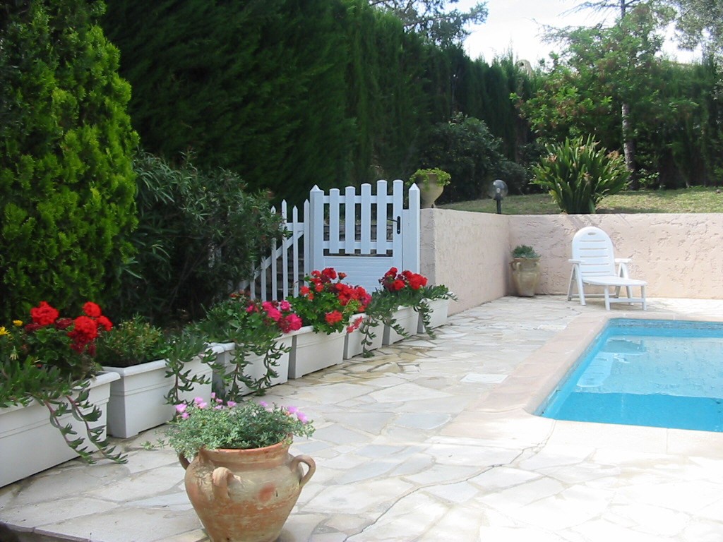 back_garden